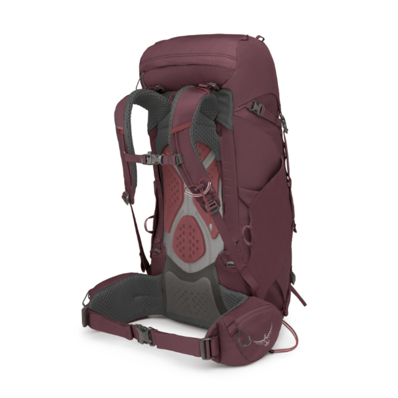 Osprey Women's Kyte 38 Backpack in Elderberry Purple -4